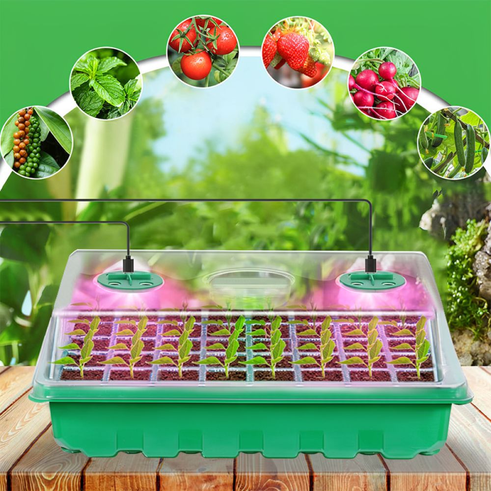 Starter Tray With Adjustable L - Propagation Tray Dome review and price