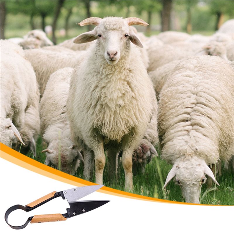 【FLASH DEAL】Heavy Duty 13Inch  - Gardening Tools Deals review and price
