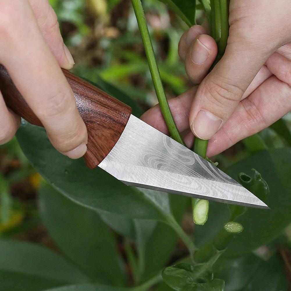 Grafting Knife Grafting Tools  - Gardening Tools Knife review and price