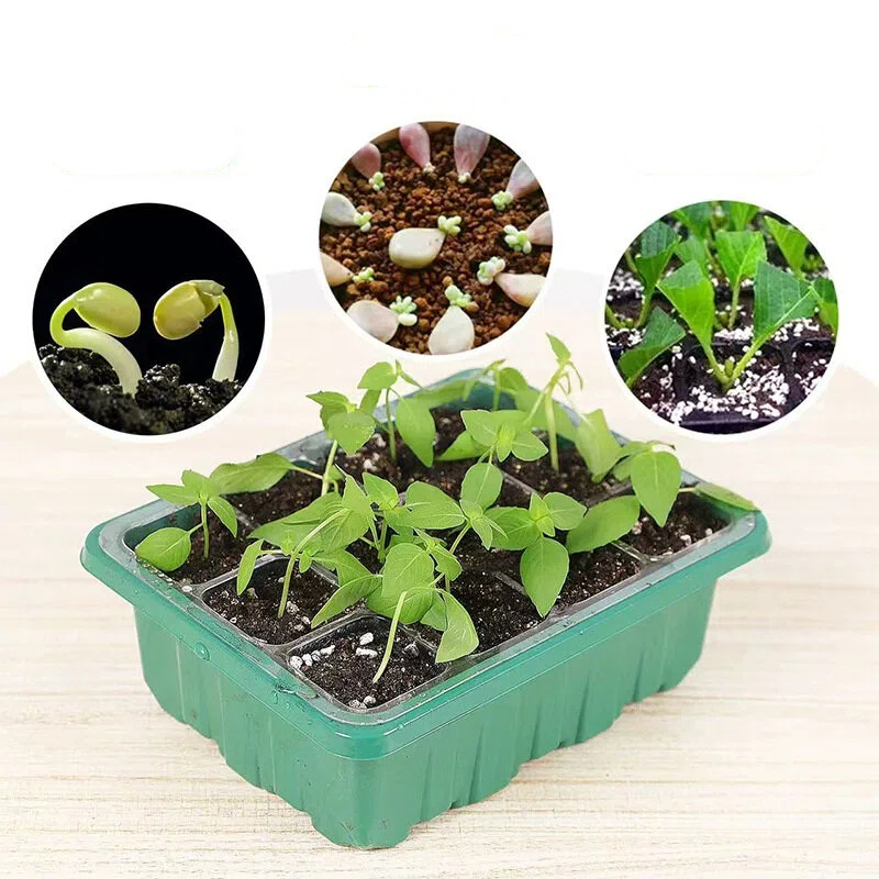 5Pcs 6/12 Grids Growing Starti - Propagation Tray Dome review and price