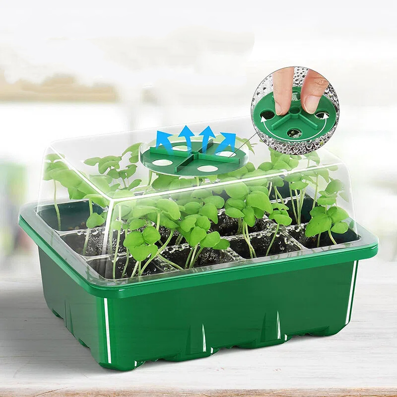 5Pcs 6/12 Grids Growing Starti - Propagation Tray Dome review and price