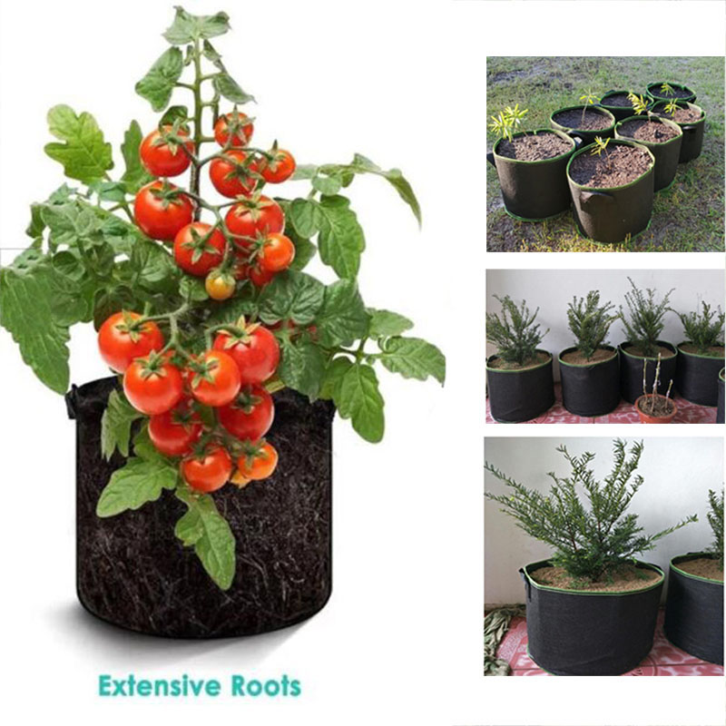 20Gal grow pots vegetable flow - Gardening Tools Big review and price