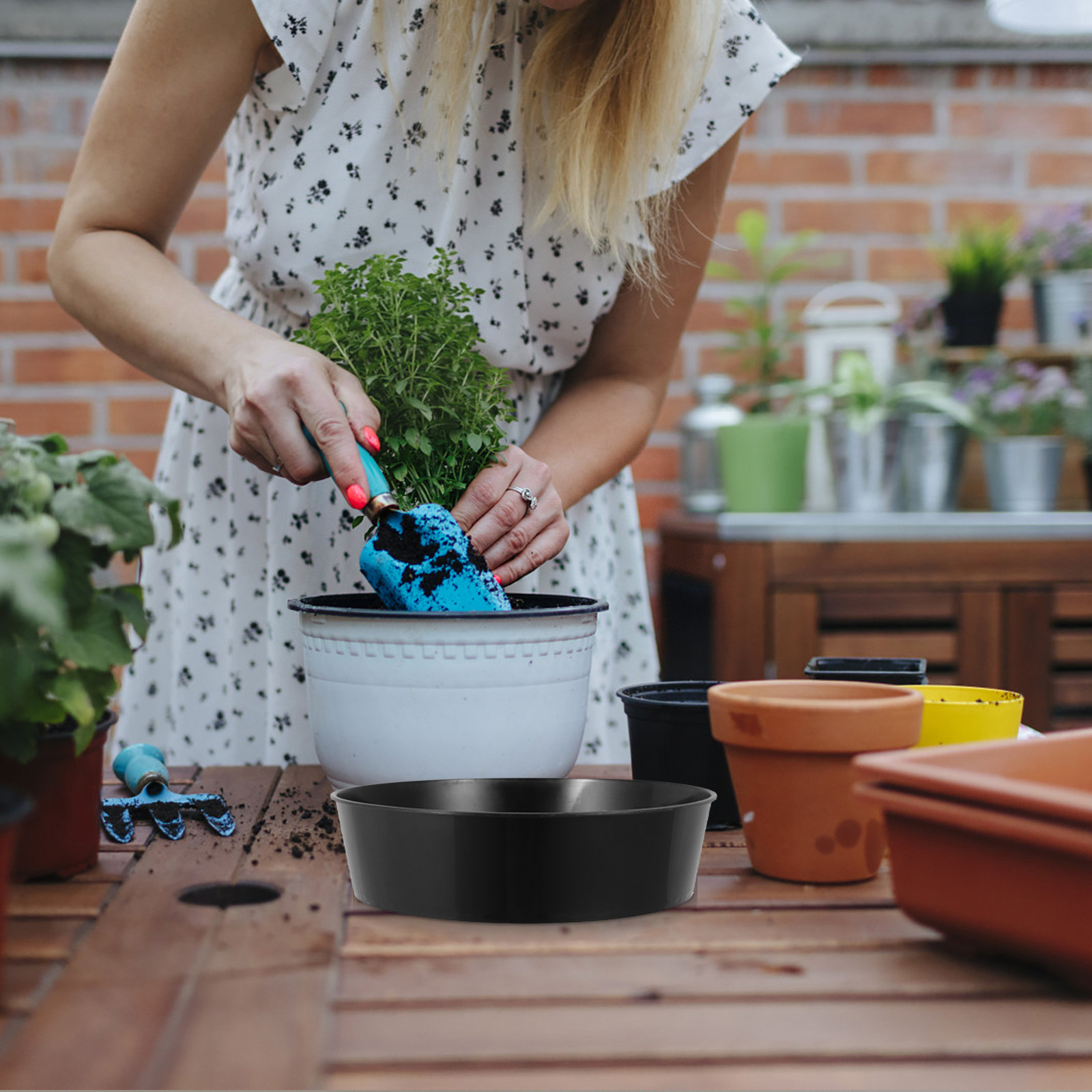 Round Plastic Soil Sifting Pan - Garden Sieve Soil review and price