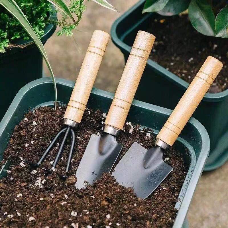 3PC/1Set Mini Gardening Tools  - Gardening Tools Gifts review and price