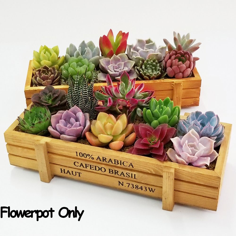 1 PC Tools Garden Decor Trough - Gardening Tools Vintage review and price