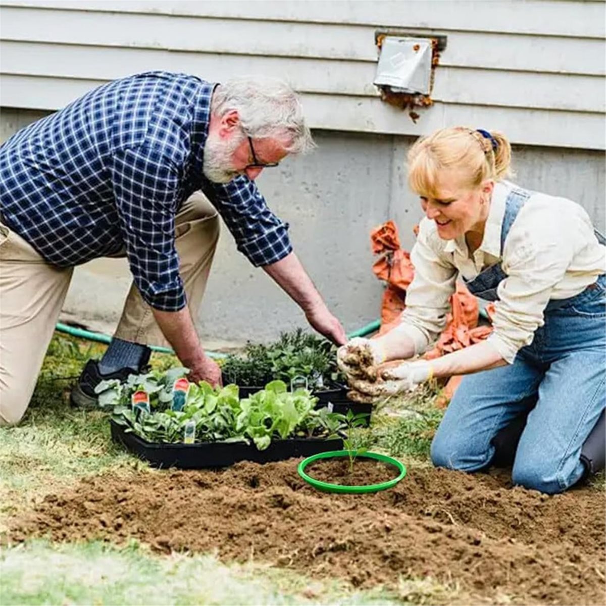 Big Discount 4 Plant Guard Rin - Gardening Tools Big review and price
