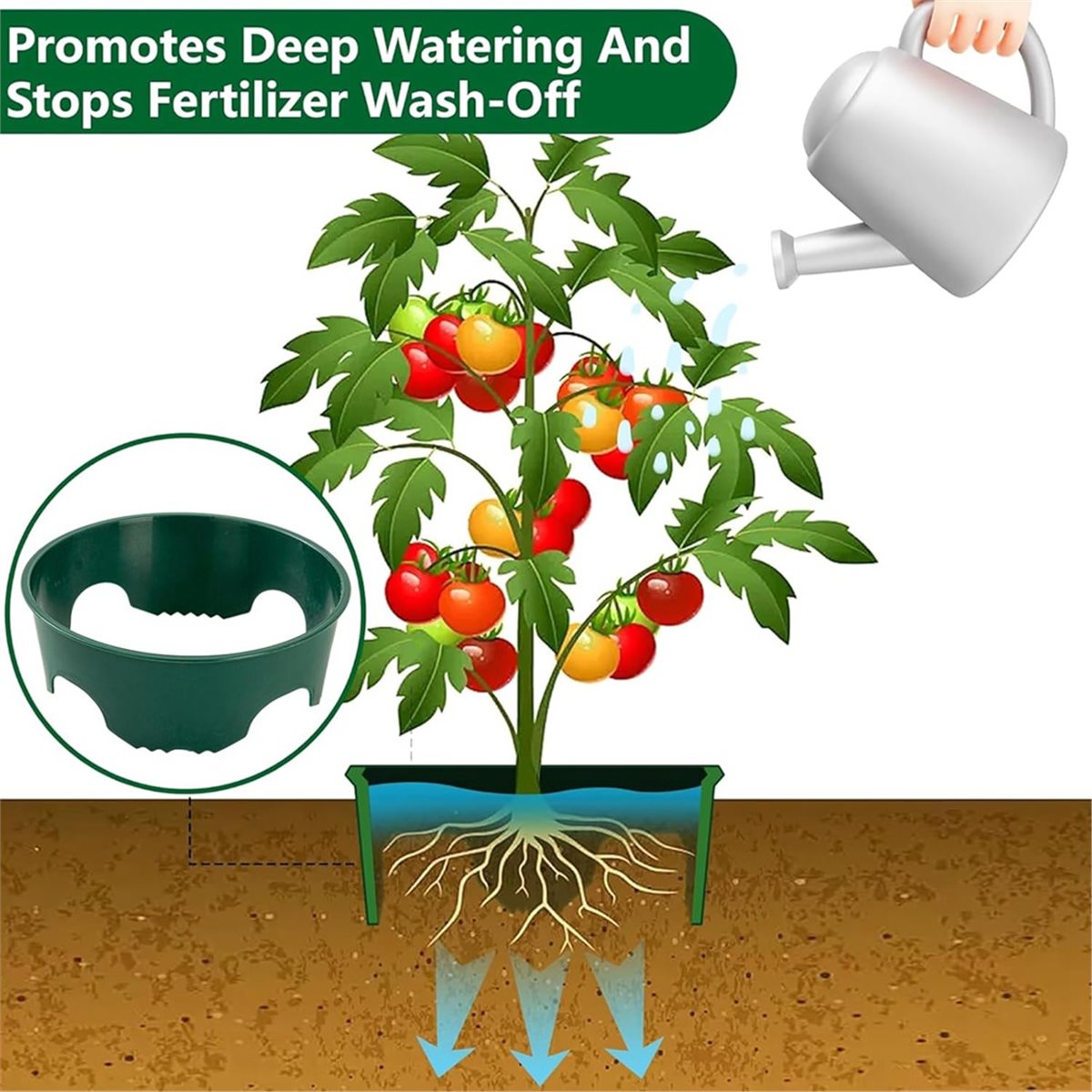 Big Discount 4 Plant Guard Rin - Gardening Tools Big review and price
