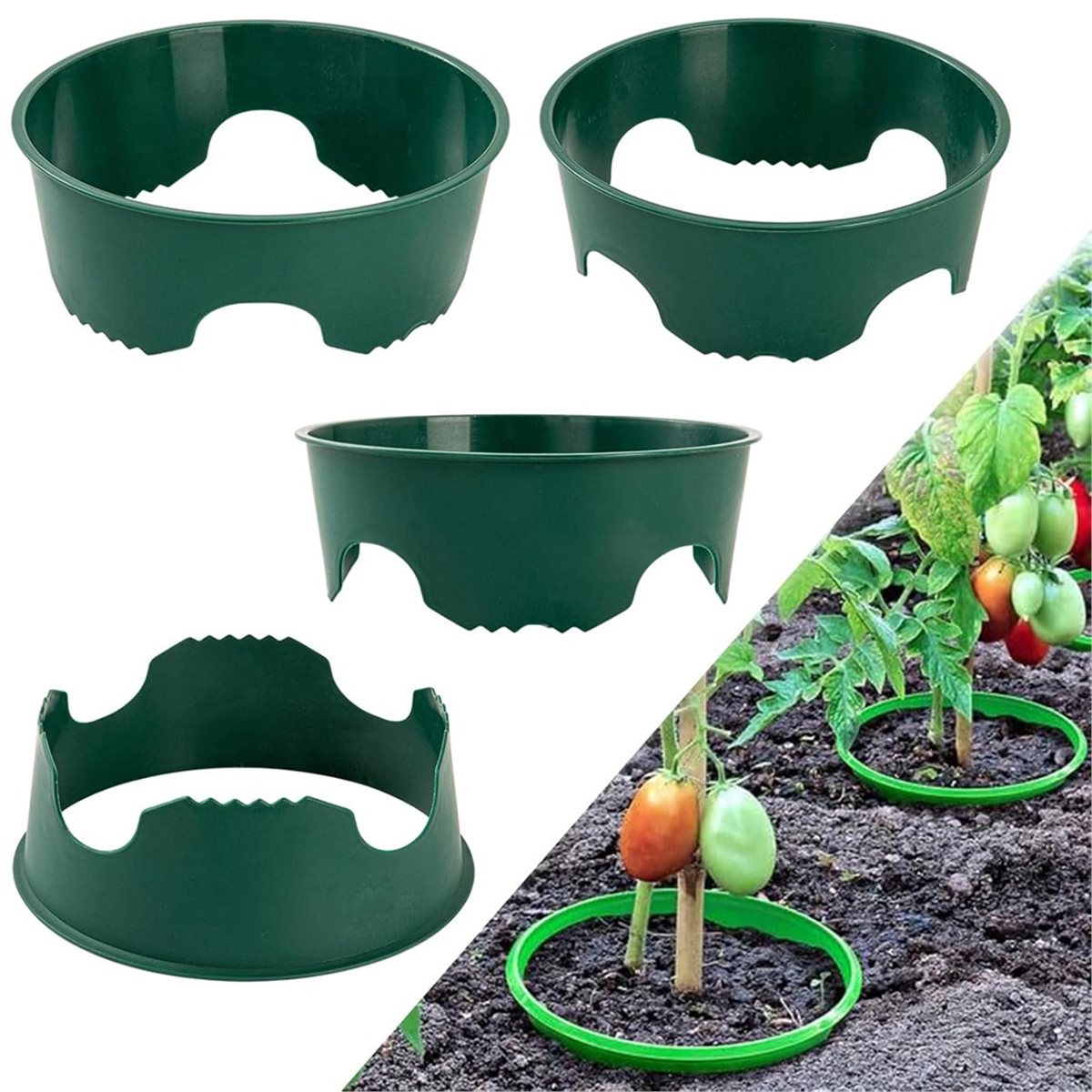 Big Discount 4 Plant Guard Rin - Gardening Tools Big review and price