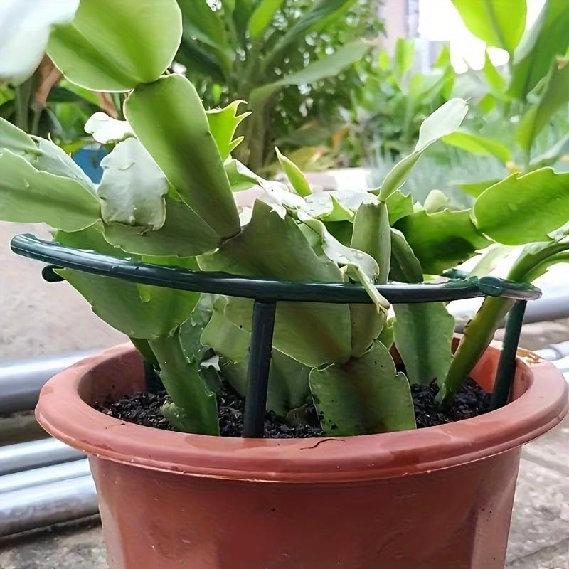 30-1PCS Plastic Plant Support  - Gardening Tools Gifts review and price
