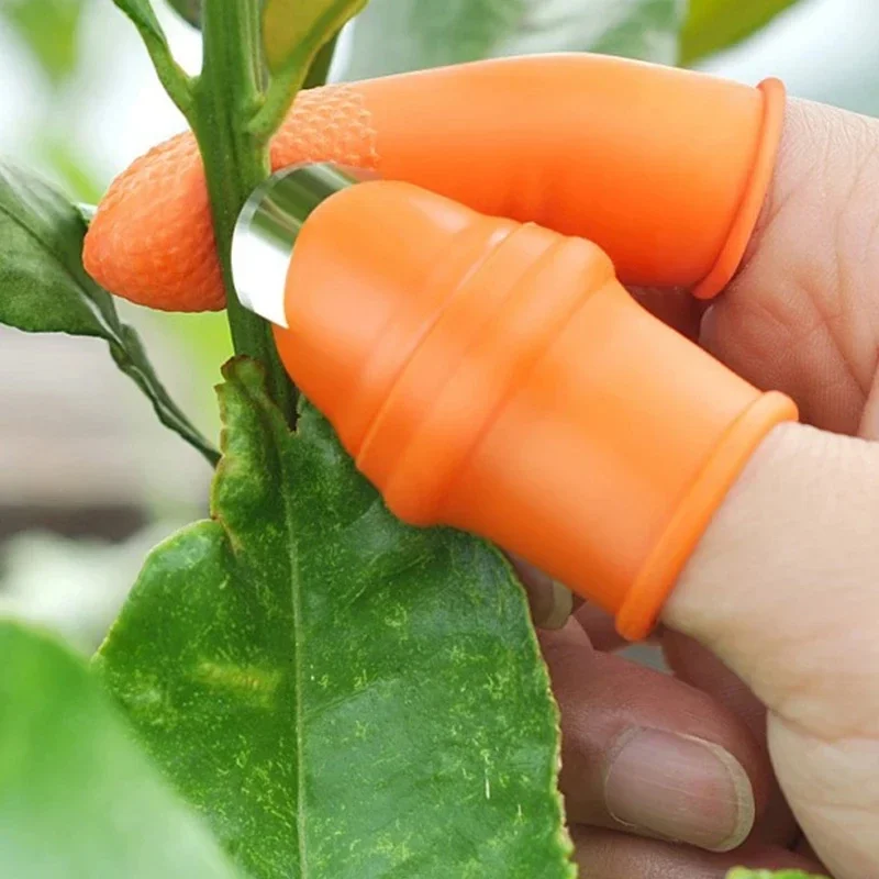 Thumb Knife Vegetable Picking  - Gardening Tools Knife review and price
