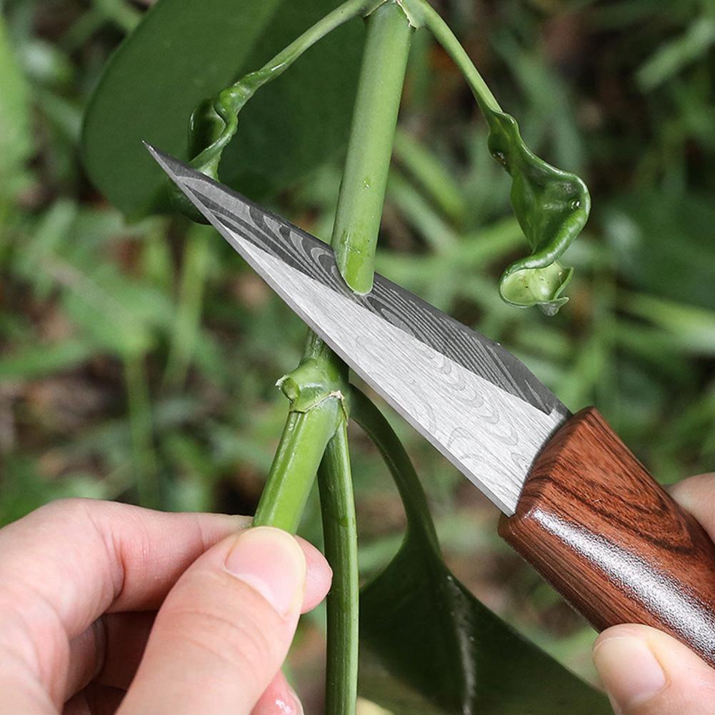 Sharp Grafting Knife with Wood - Gardening Tools Knife review and price