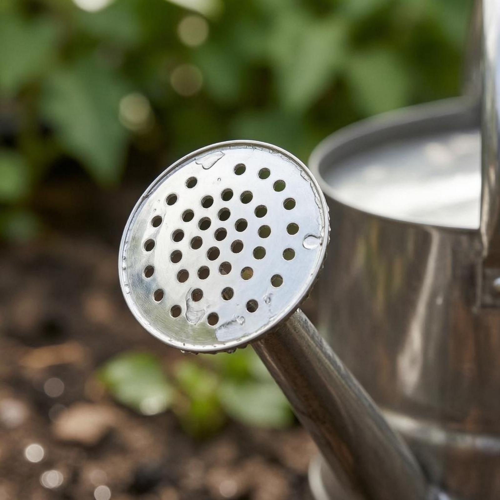Garden Flower Watering Can Sta - Gardening Tools Watering Can review and price