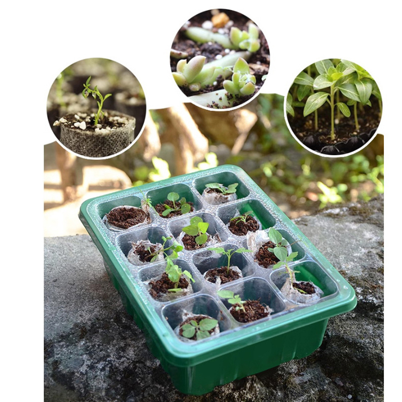 Hot Sale 6/12 Holes Seed Start - Propagation Tray Dome review and price