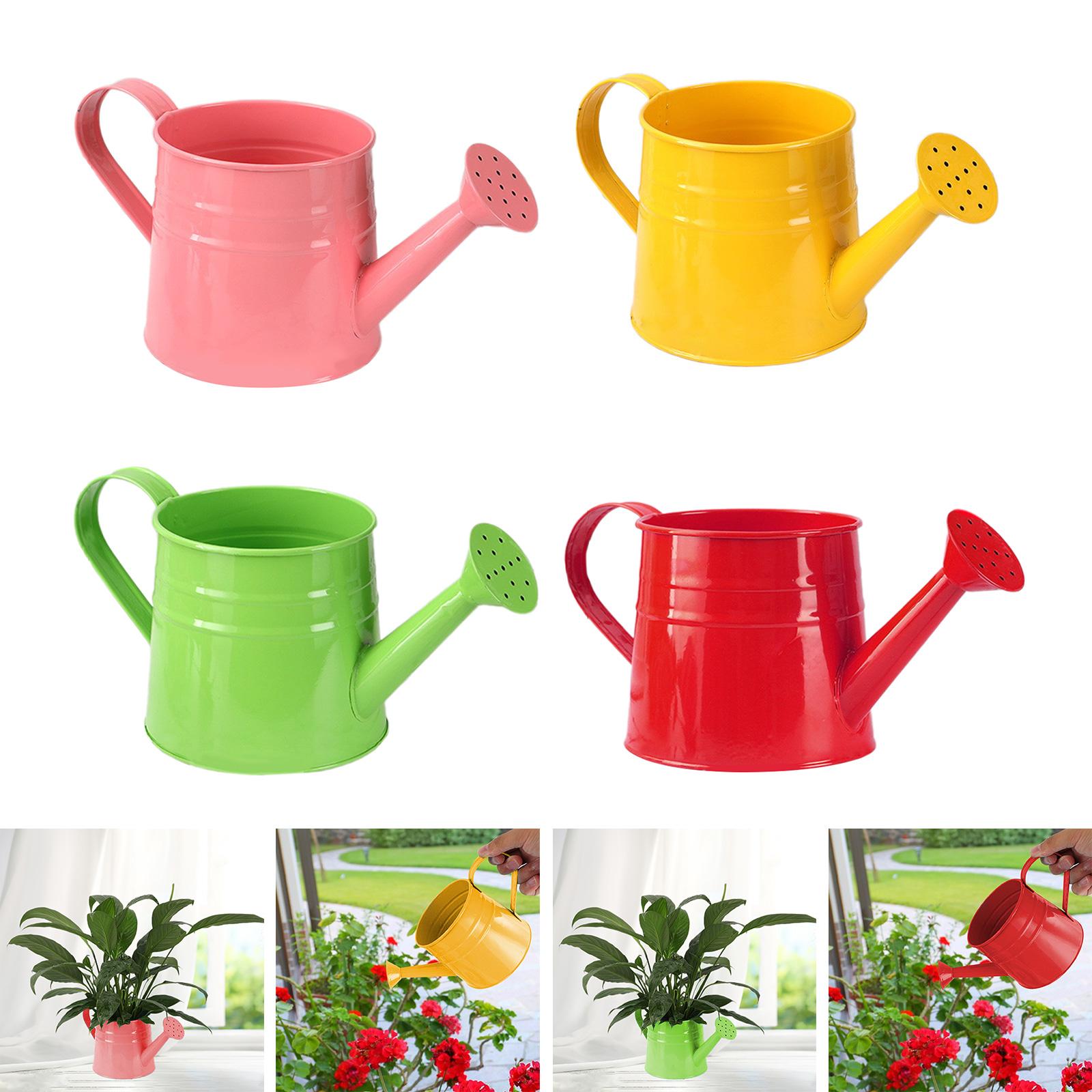 Watering Can Gardening Tool Ho - Gardening Tools Vintage review and price