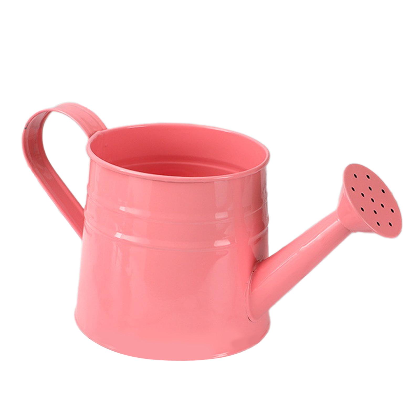 Watering Can Gardening Tool Ho - Gardening Tools Vintage review and price