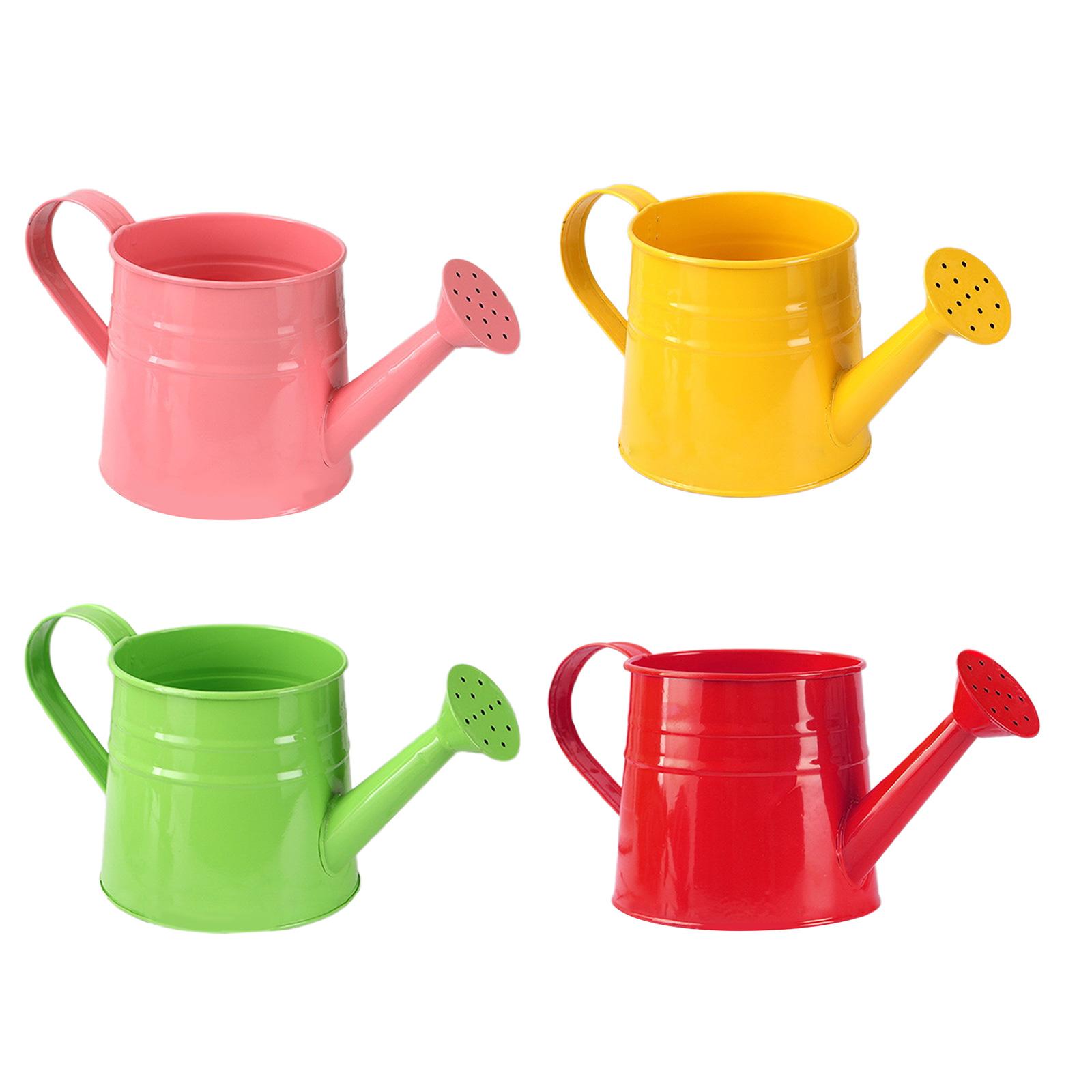 Watering Can Gardening Tool Ho - Gardening Tools Vintage review and price