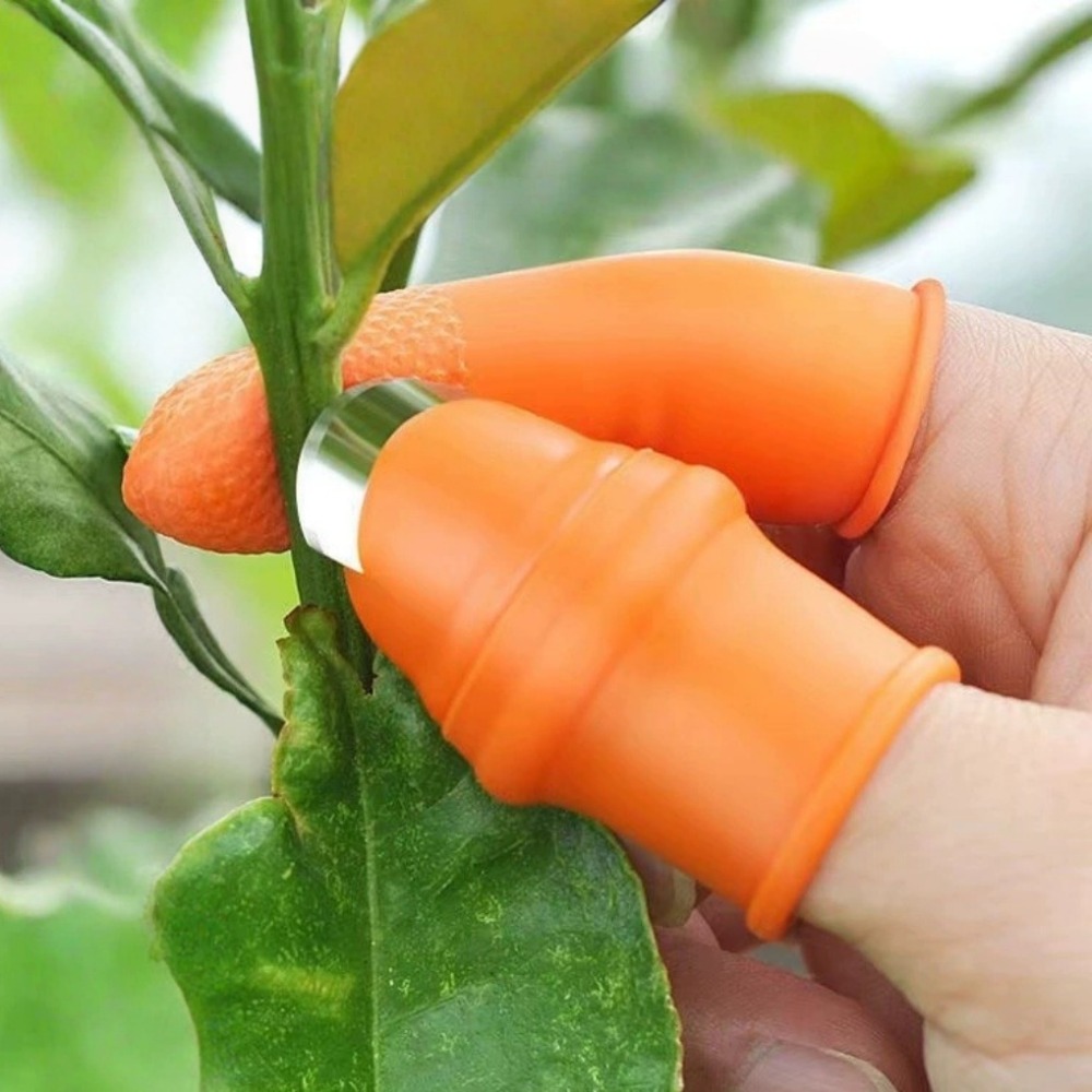 Vegetable Picking Stainless St - Gardening Tools Knife review and price