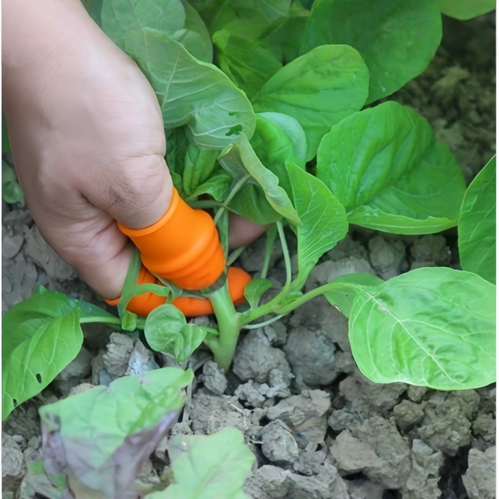 Vegetable Picking Stainless St - Gardening Tools Knife review and price